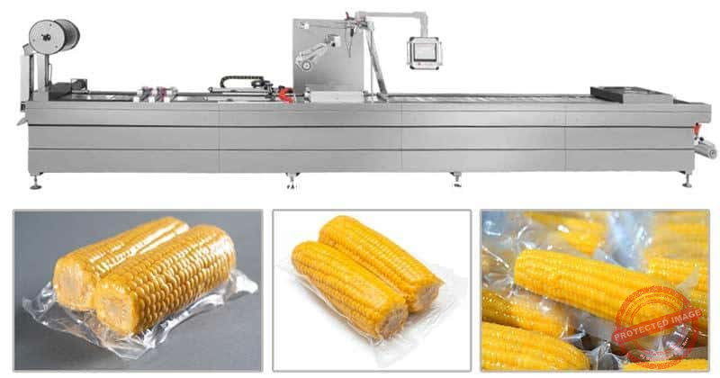 Automatic-Stretch-Film-Thermoforming-Sweet-Corn-Vacuum-Packing-Machine-Manufacturer